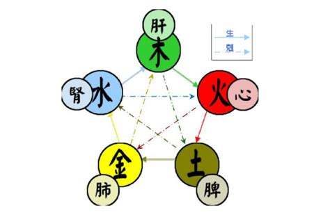 木跟土|五行（对万事万物的取象比类）